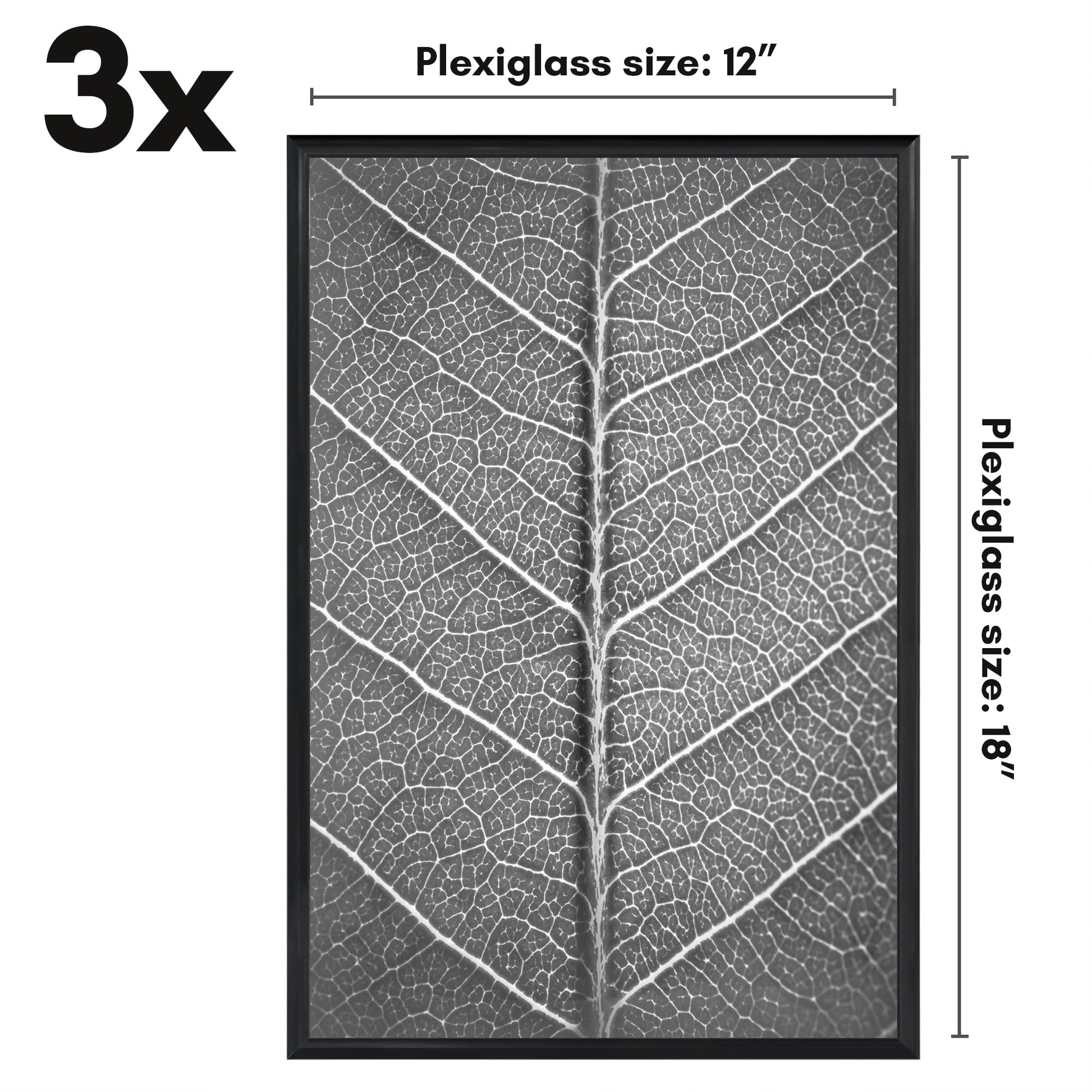 SIFBLK12183PK