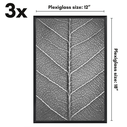 SIFBLK12183PK