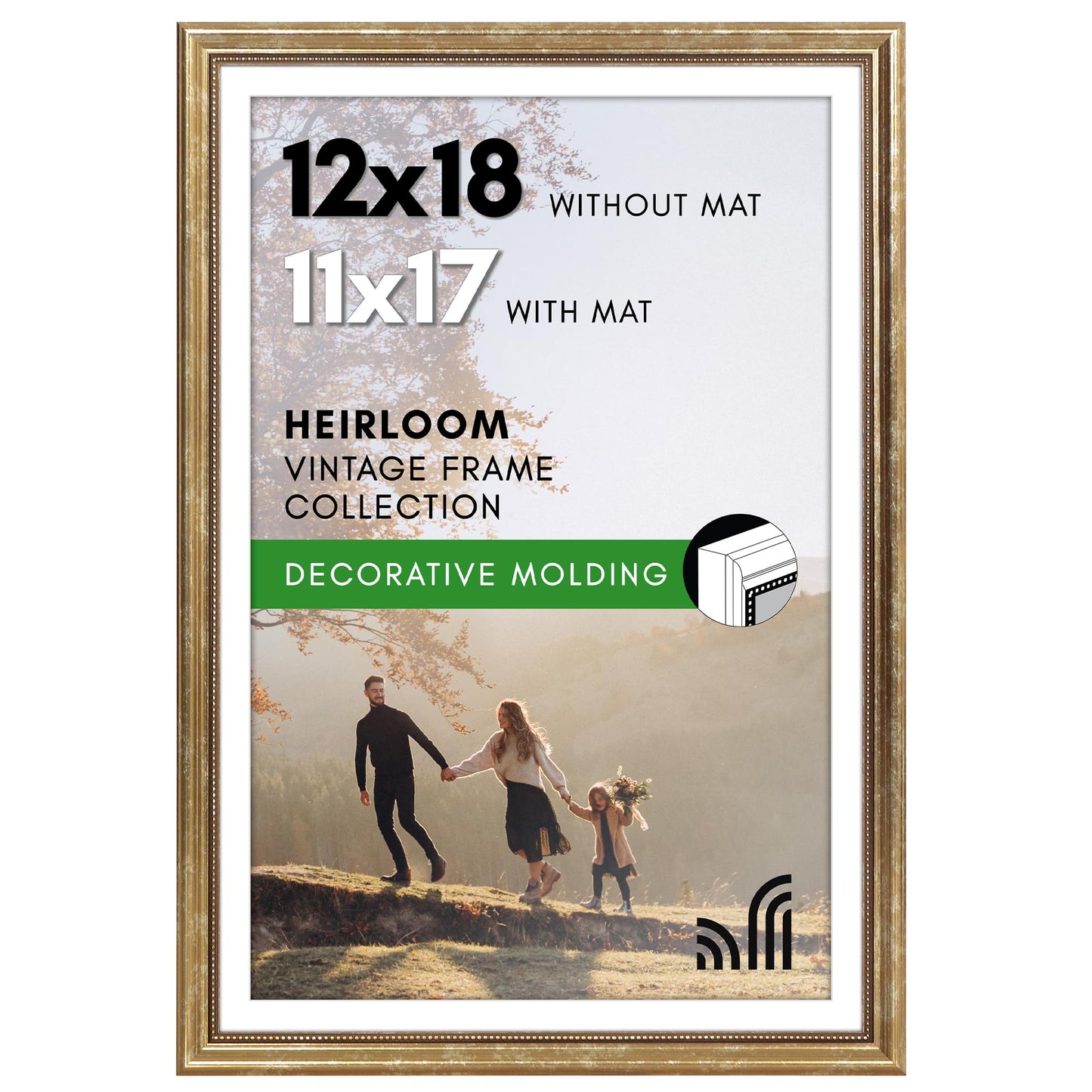 12x18 with 11x17 Mat | Vintage Frames | Gold | Modern - Premium Quality