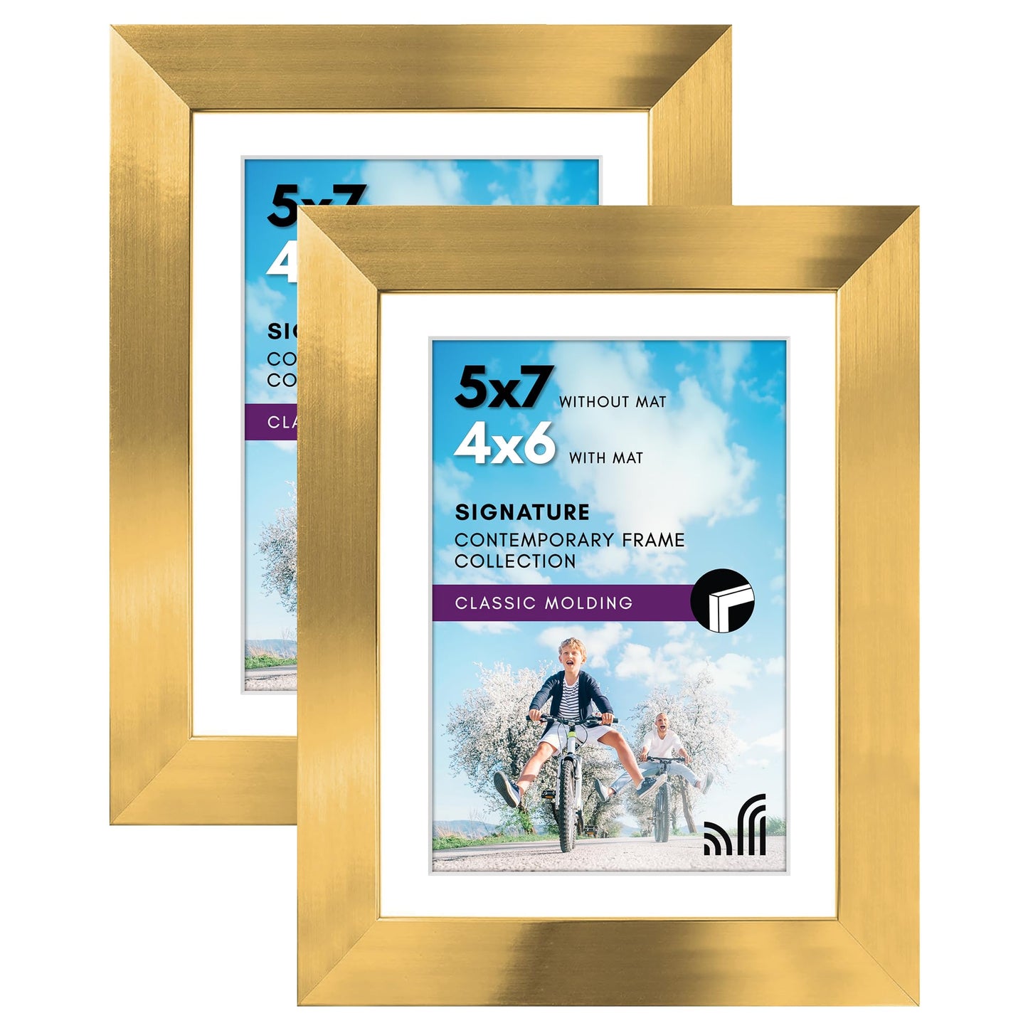 Picture Frame | Signature Collection | Classic Molding | Includes Mat | Multi Pack
