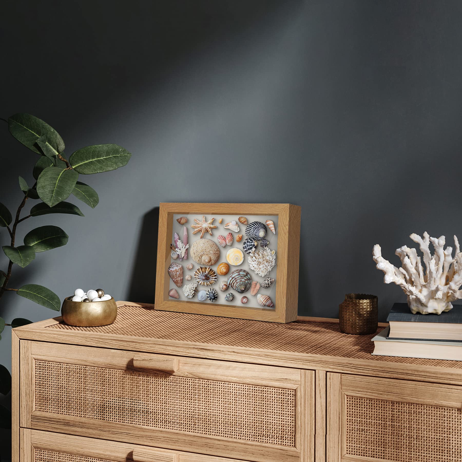 SB0810OAK