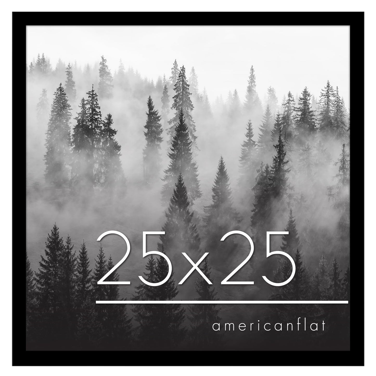 Gallery Poster Frame with Wood Grain Finish | Epic Collection