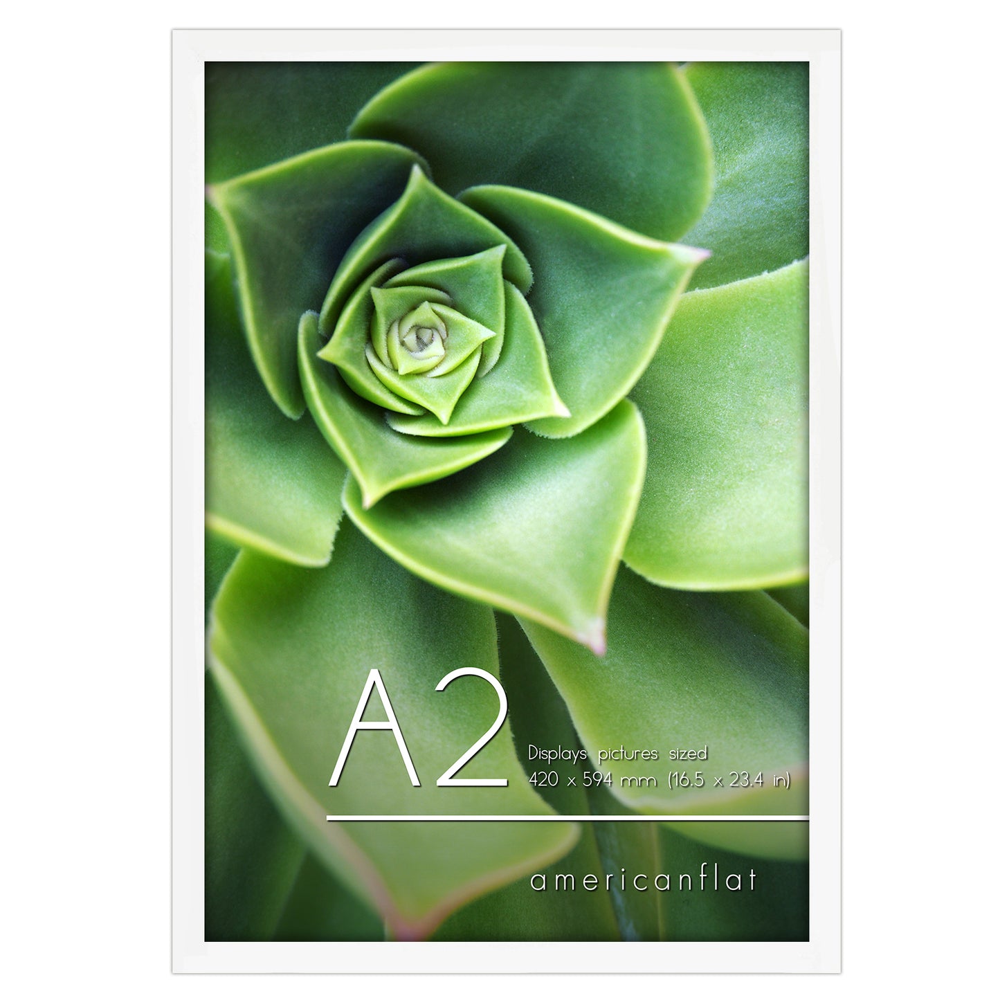 A-Sized Picture Frame | A Frames Collection | Modern Decor