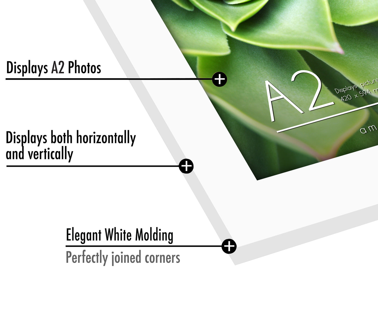 A-Sized Picture Frame | A Frames Collection | Modern Decor