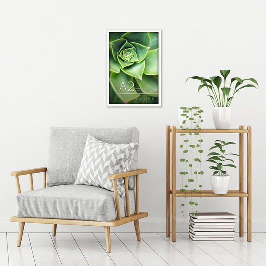 Americanflat | A2 Picture Frame with Polished Plexiglass | 16.5x23.4 Frame with Engineered Wood | Signature Collection | A2 Frames for Wall Display | White