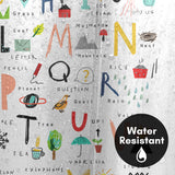 71x74 Shower Curtain with 12 Metal Grommets | Hand Drawn Alphabet