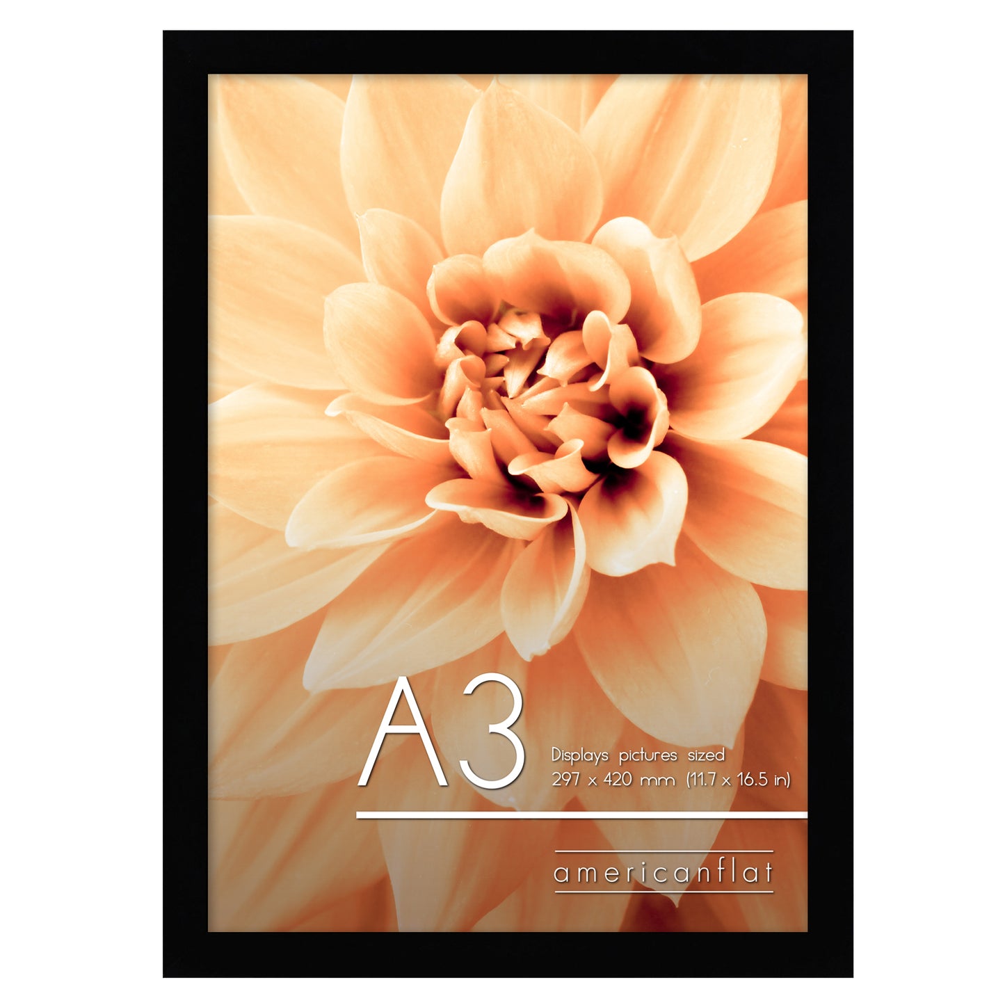 A-Sized Picture Frame | A Frames Collection | Modern Decor