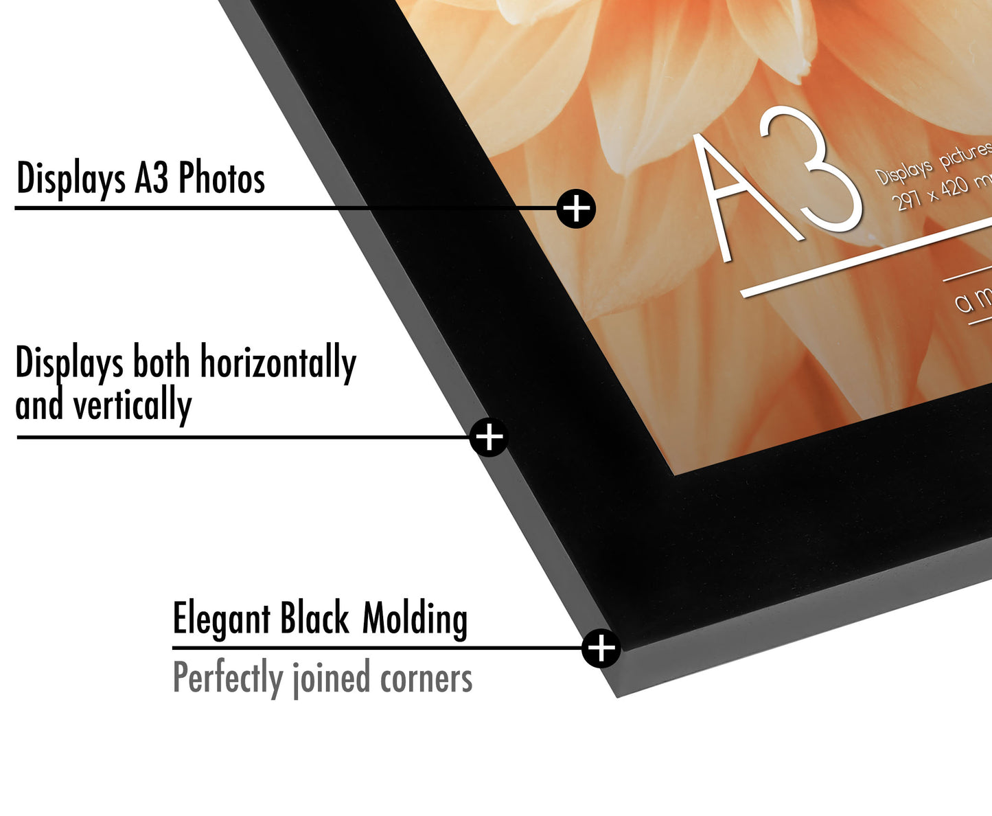 Picture Frame in A3BK Black Wood - Frame - Americanflat
