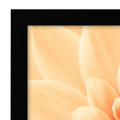 Americanflat | A3 Picture Frame with Shatter-Resistant Glass | Set of 2 | 11.7x16.5 Frame with Engineered Wood | Signature Collection | A3 Frames for Wall Display | Black