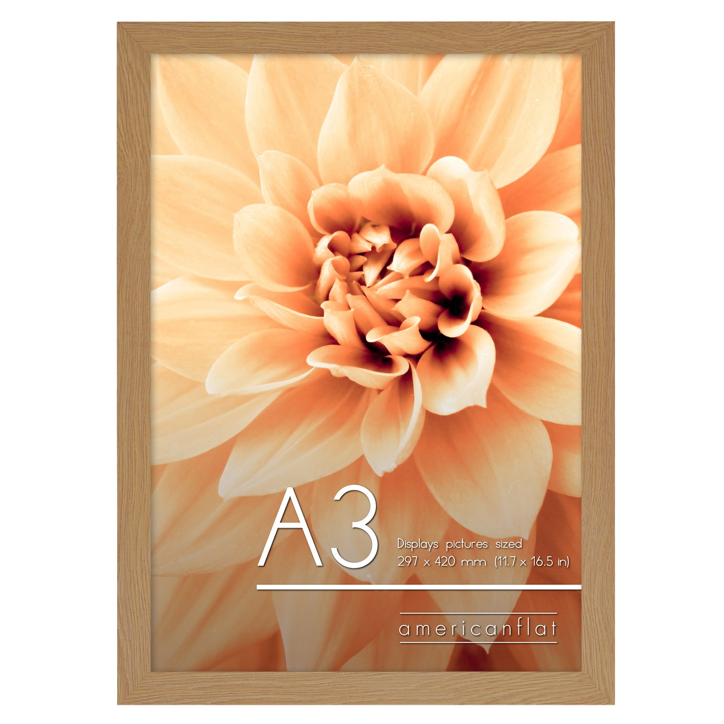 A-Sized Picture Frame | A Frames Collection | Modern Decor