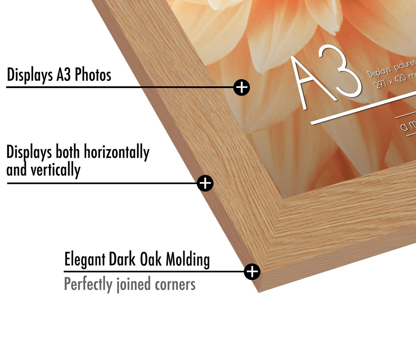 A3OAK