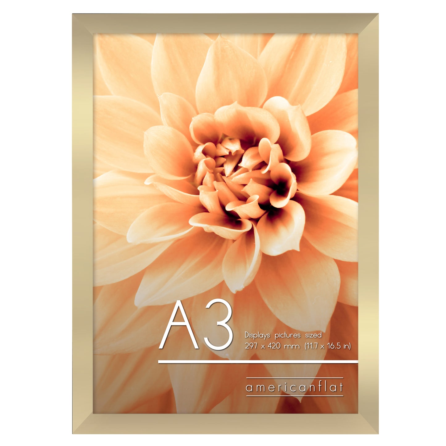 A-Sized Picture Frame | A Frames Collection | Modern Decor