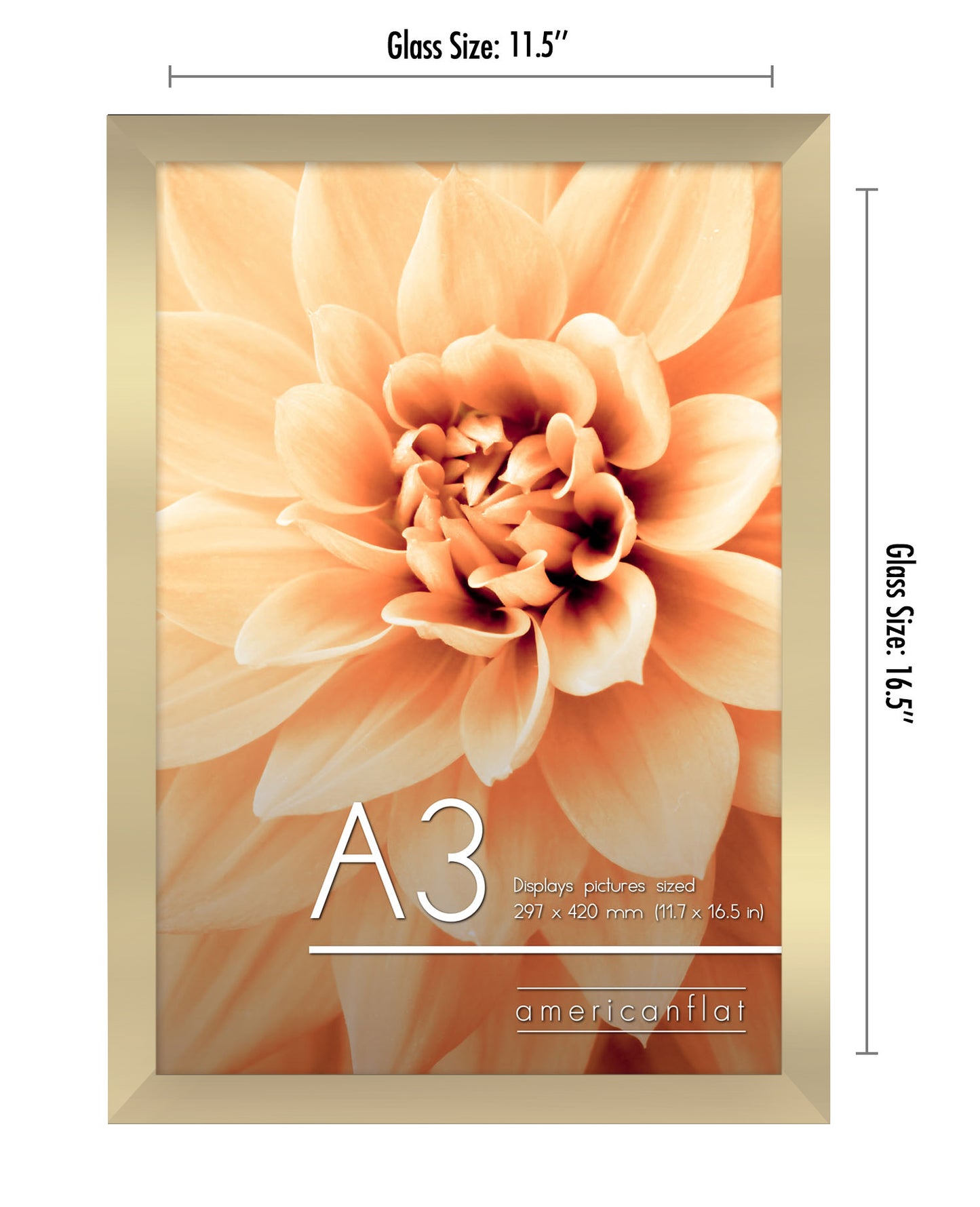 A-Sized Picture Frame | A Frames Collection | Modern Decor