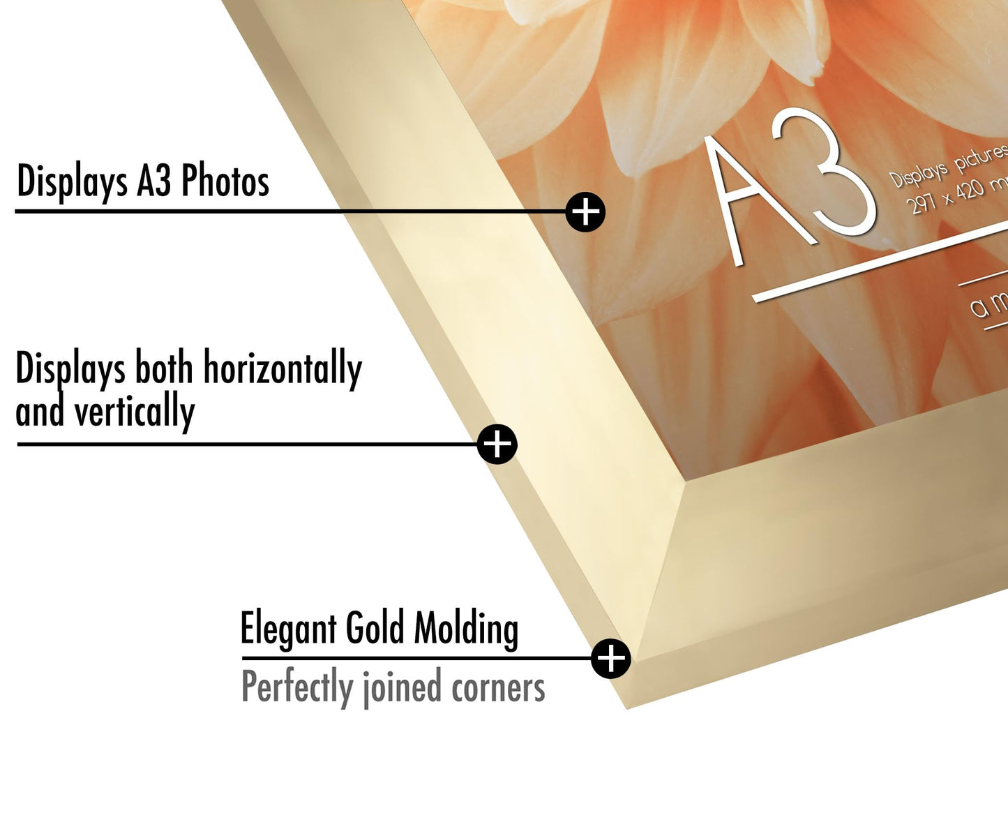 A3PBRASS