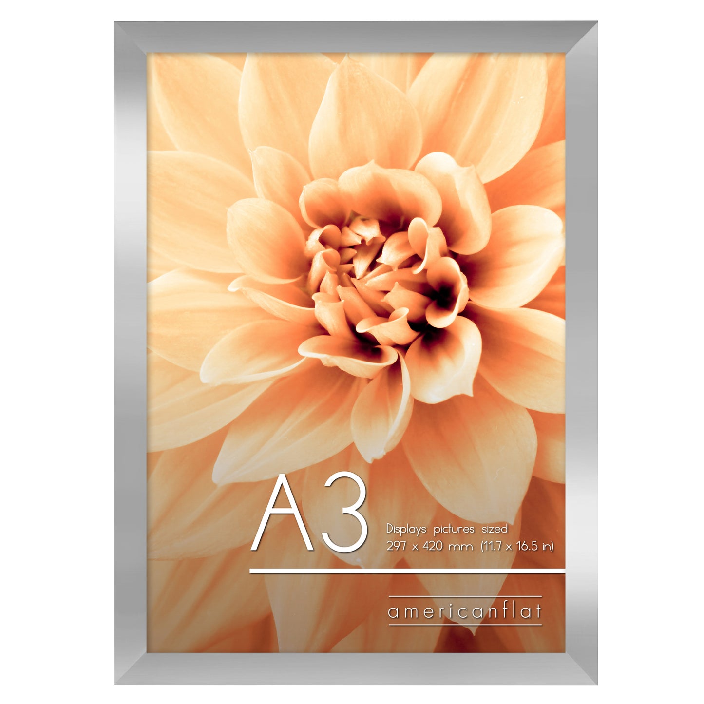 A-Sized Picture Frame | A Frames Collection | Modern Decor