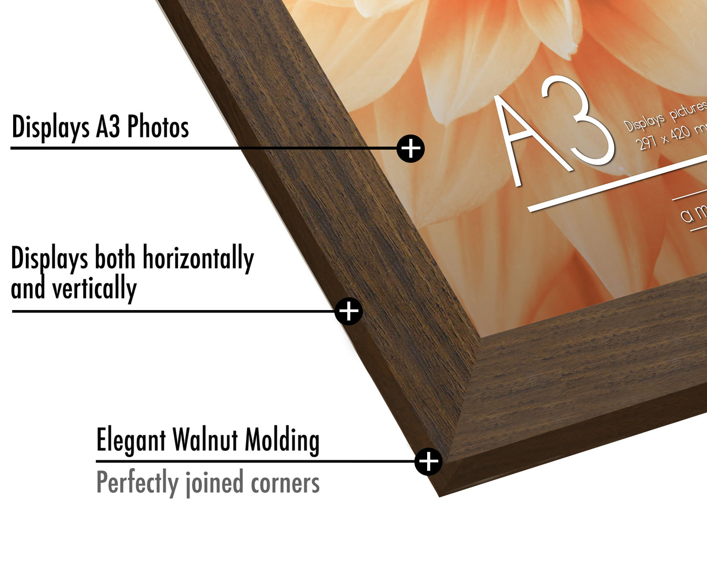 A-Sized Picture Frame | A Frames Collection | Modern Decor