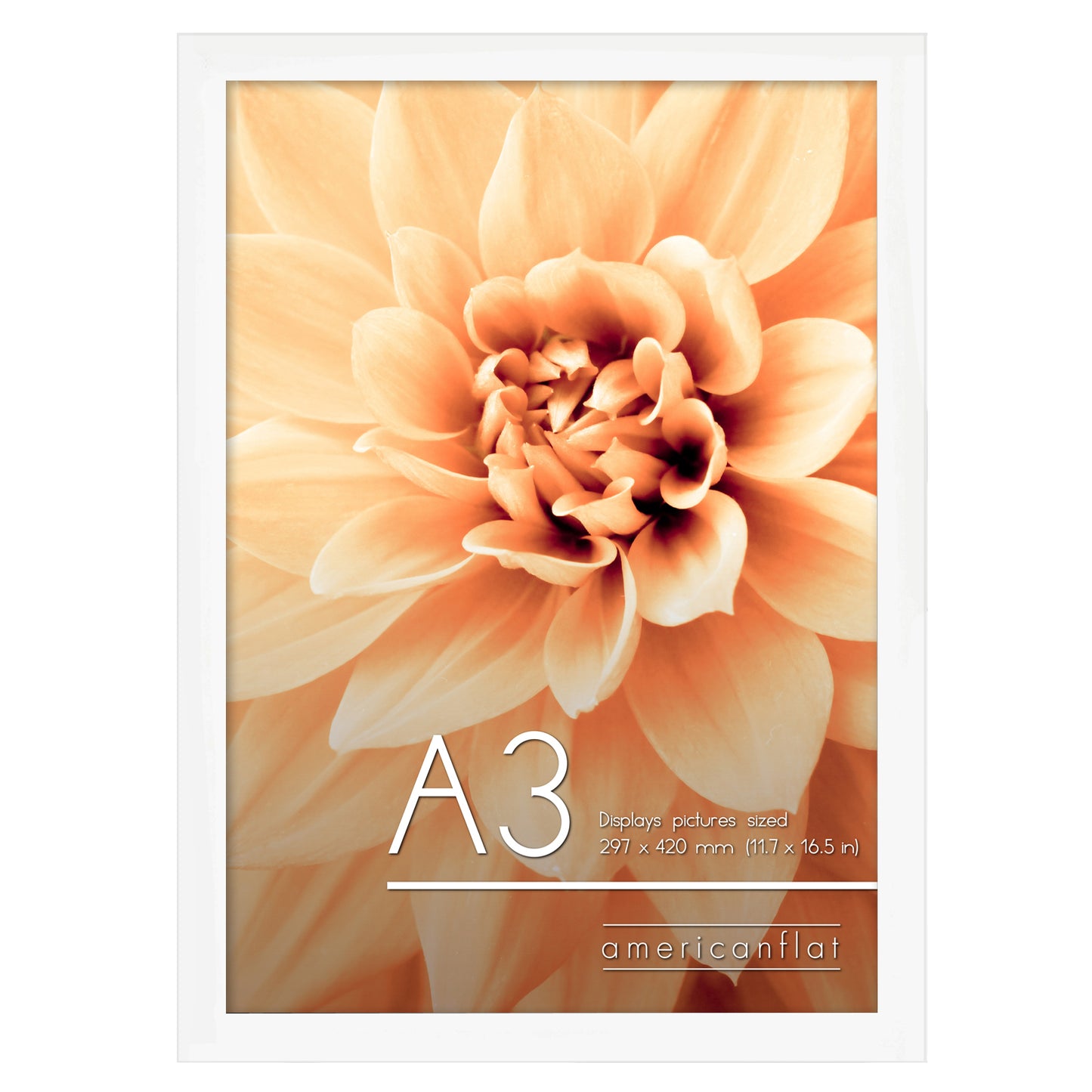 A-Sized Picture Frame | A Frames Collection | Modern Decor