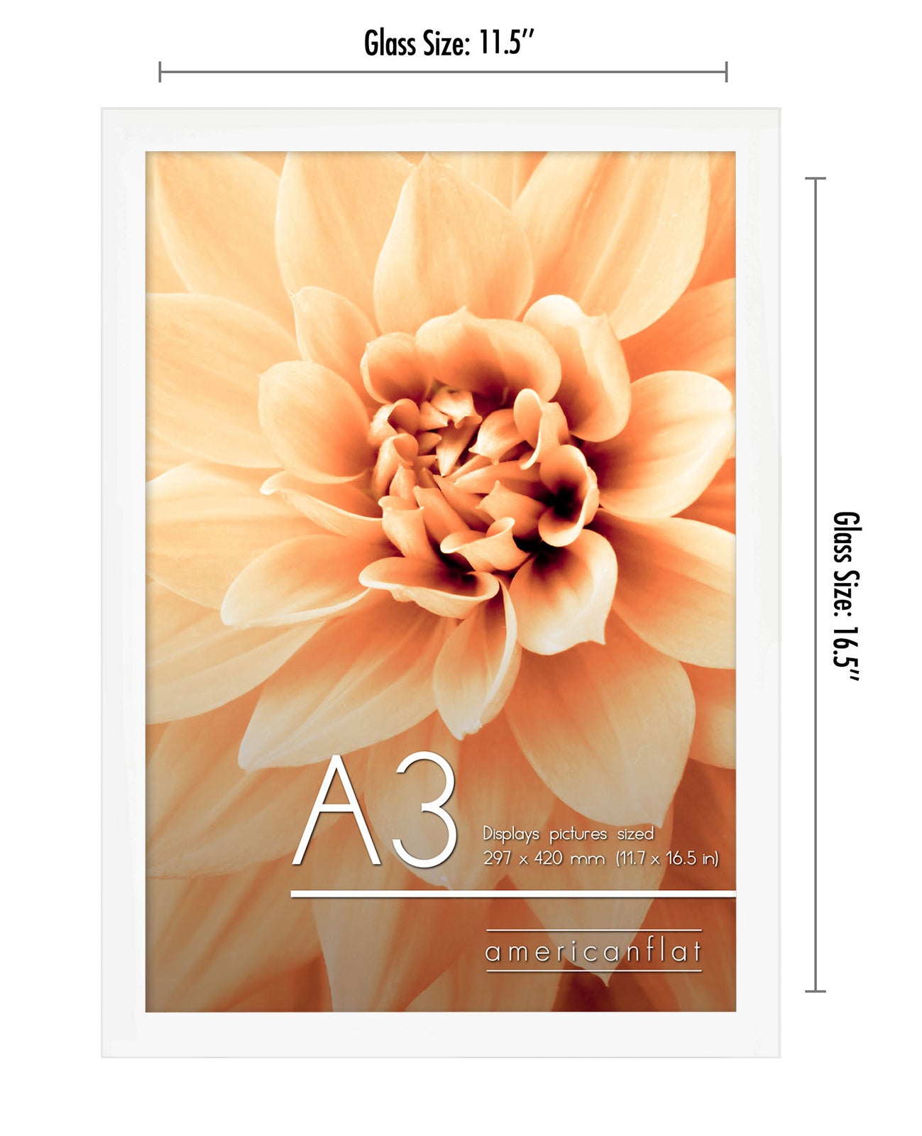 A-Sized Picture Frame | A Frames Collection | Modern Decor