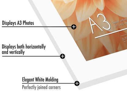 A3WHT