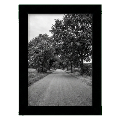 A-Size Picture Frame — A3 (11.7x16.5) / Black / 1 Pack