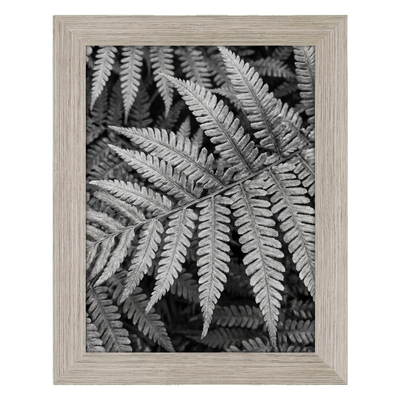 A-Size Picture Frame — A3 (11.7x16.5) / Driftwood / 1 Pack
