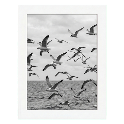 A-Size Picture Frame — A3 (11.7x16.5) / White / 1 Pack