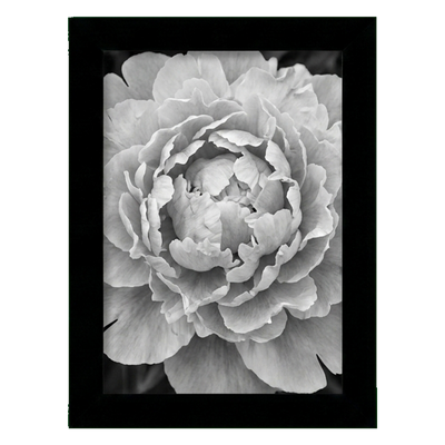 A-Size Picture Frame — A4 (8.3x11.7) / Black / 1 Pack