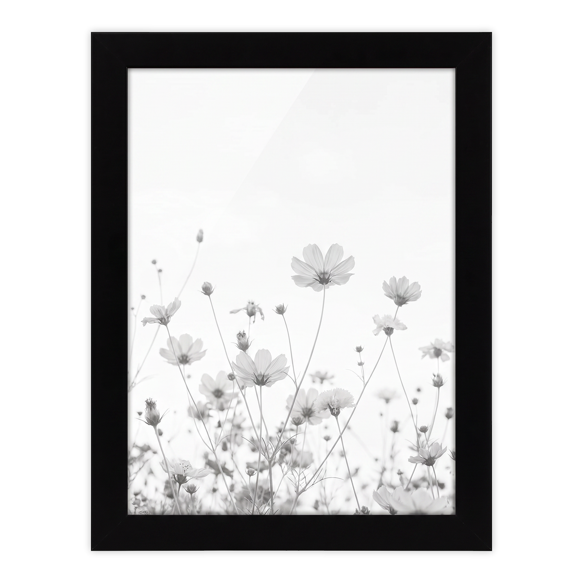 Black A5 frame in portrait format, cosmos flowers against a pale sky 