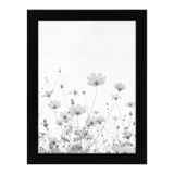 Black A5 frame in portrait format, cosmos flowers against a pale sky 