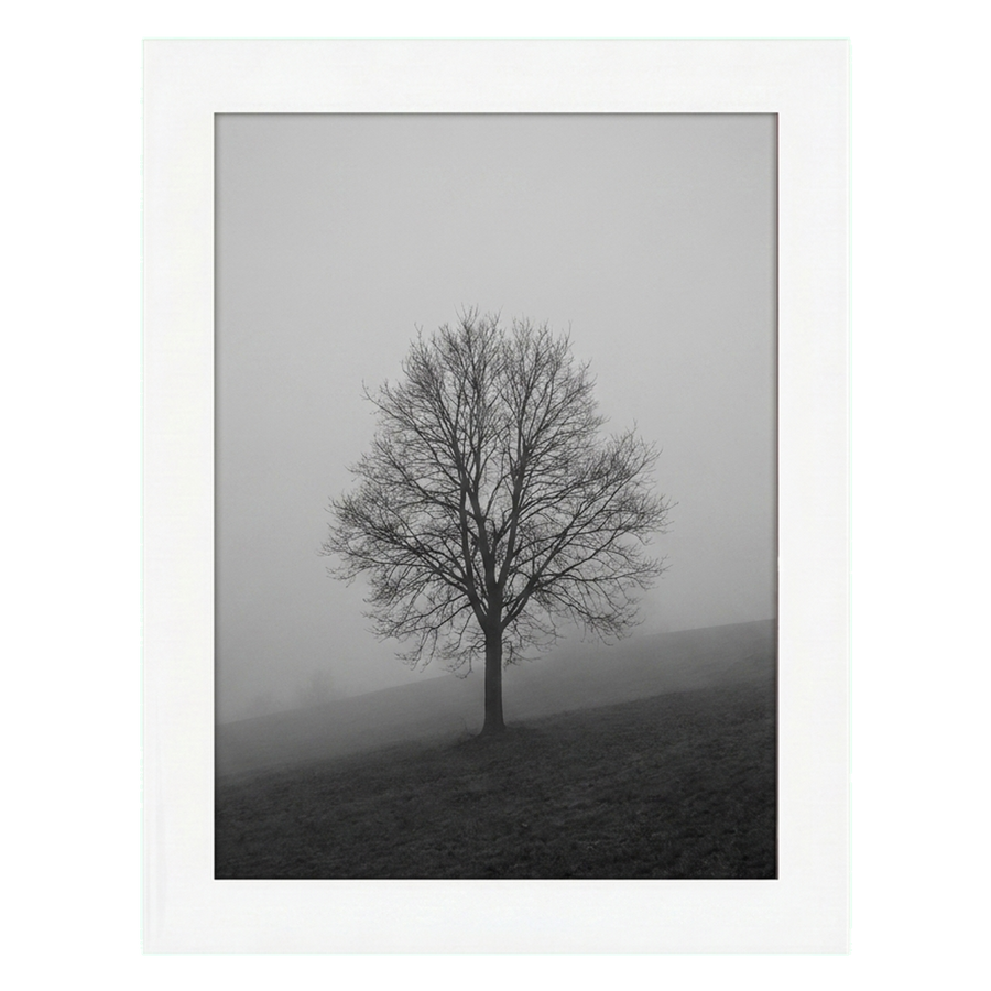 White A5 frame, a lone bare tree on a hillside in thick fog 