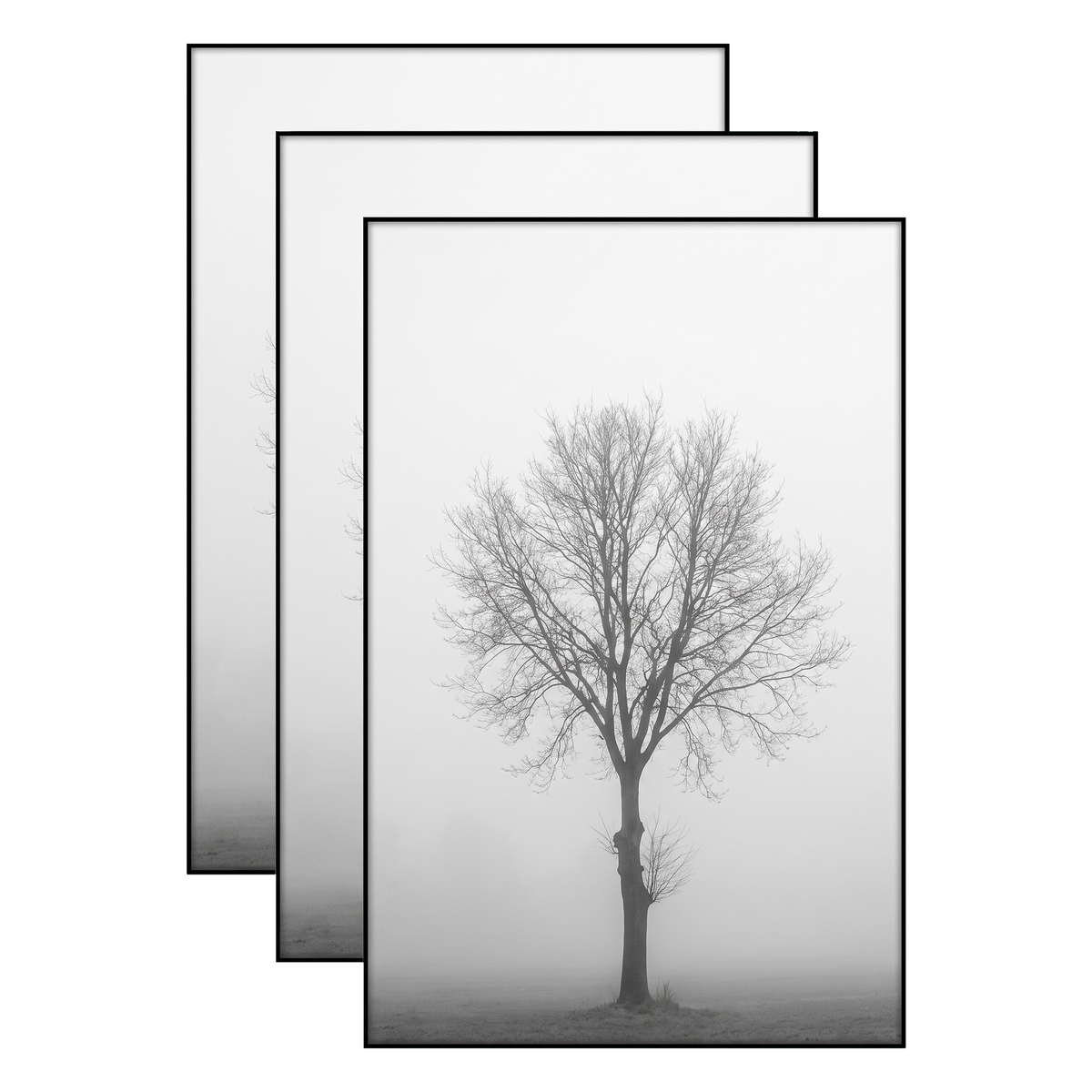 Three black 11x17 frames stacked, a bare tree standing alone in fog 