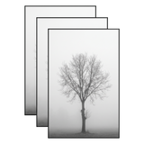 Three black 11x17 frames stacked, a bare tree standing alone in fog 