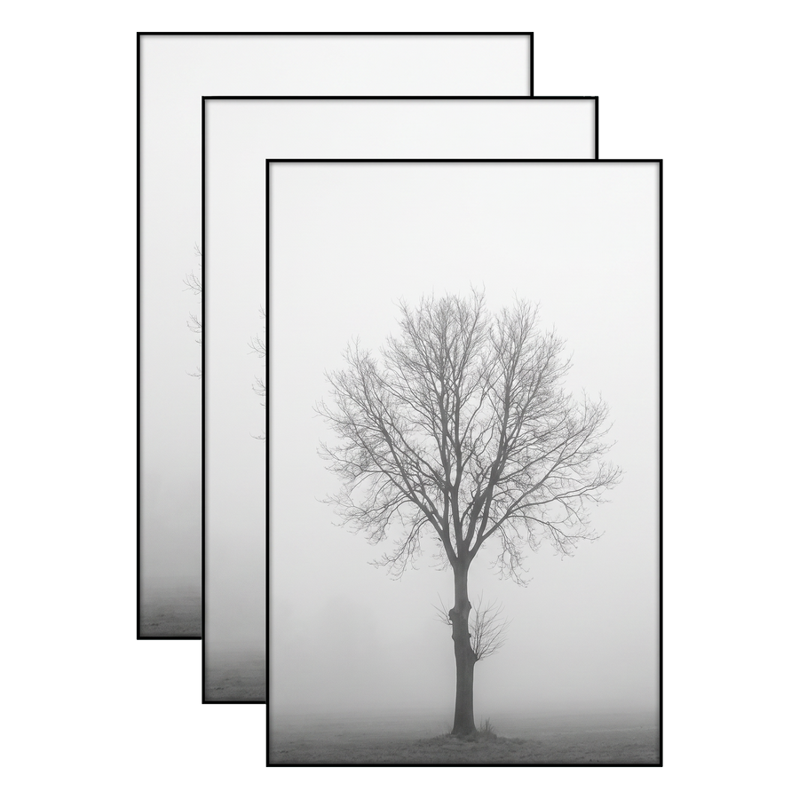 Three black 11x17 frames stacked, a bare tree standing alone in fog 