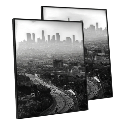 Metropolitan Picture Frame — 16x20 / 2 Pack / Non-Matted