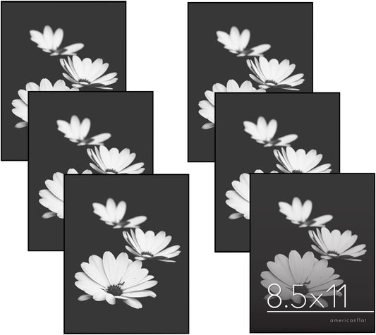 Picture Frame | Metropolitan Collection | Set of 2,6,12,3 | Extra Fine Molding