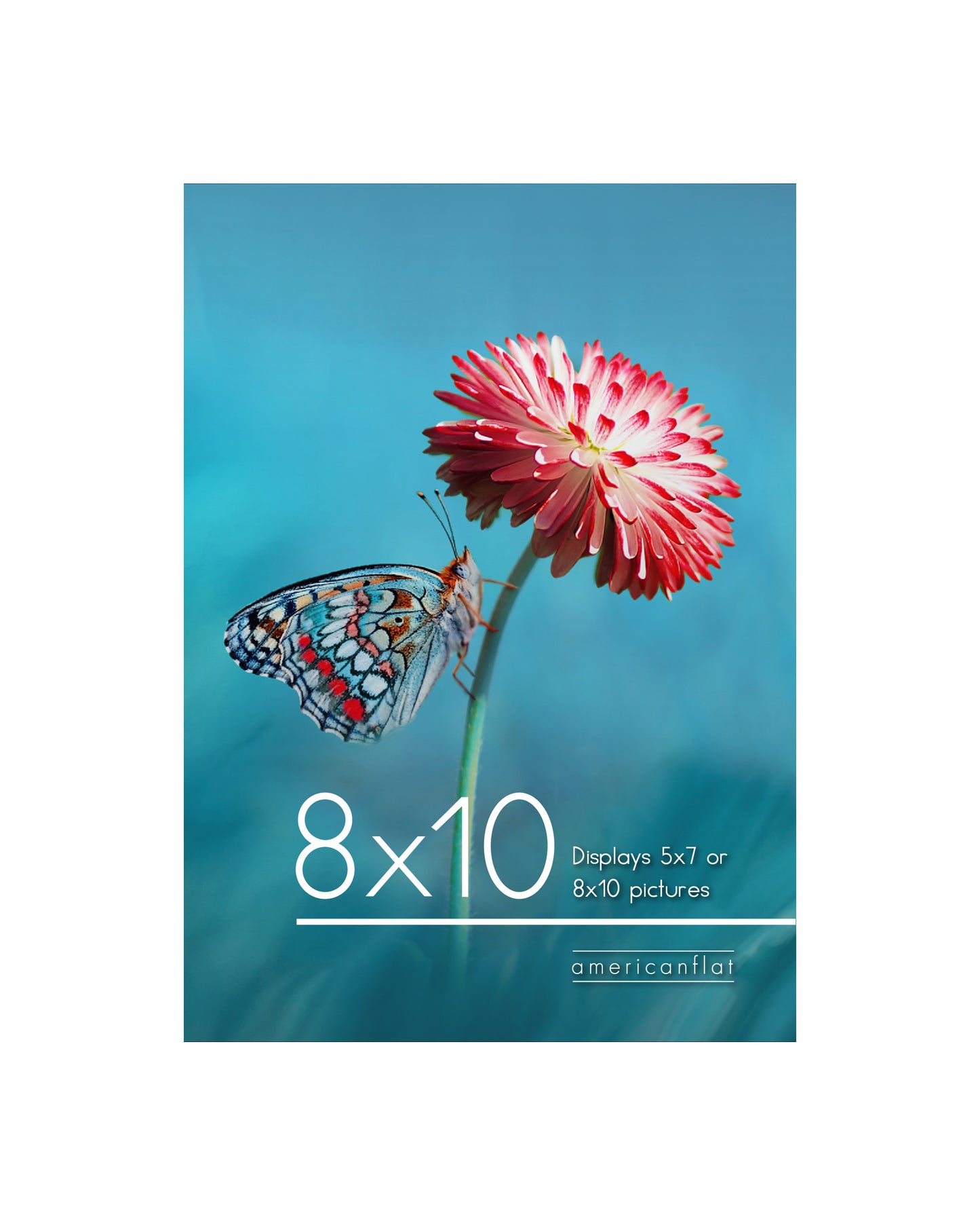 Aluminum Picture Frame | Brooklyn Portrait Collection |Modern - Premium Quality