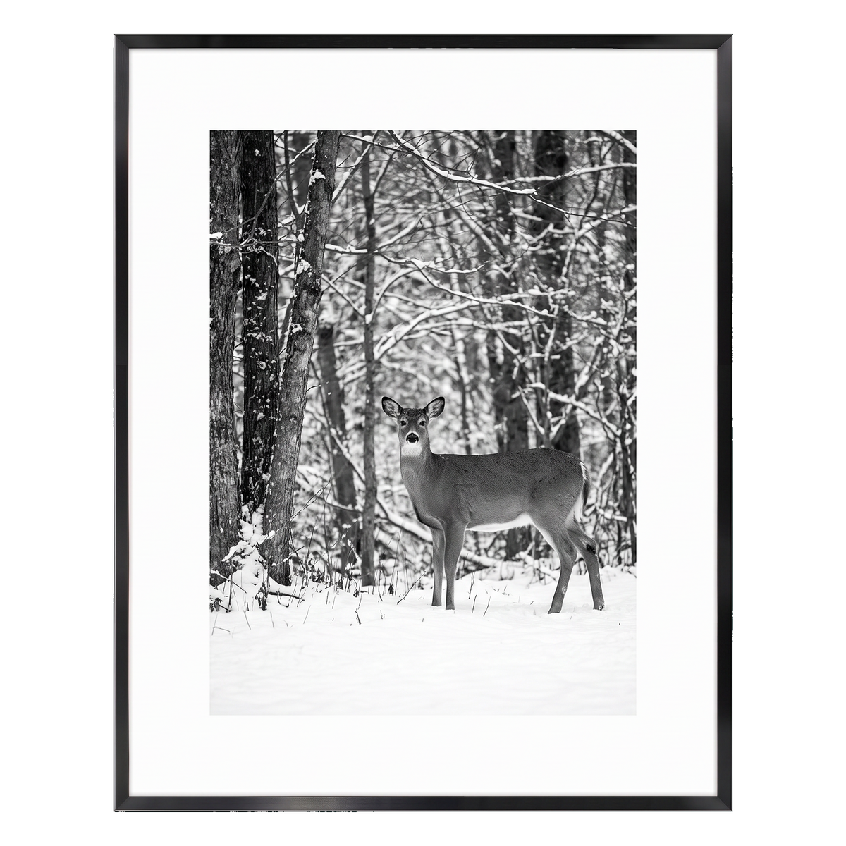 Black Brooklyn frame with a white mat, holding a photo of a deer in snowy woodland 