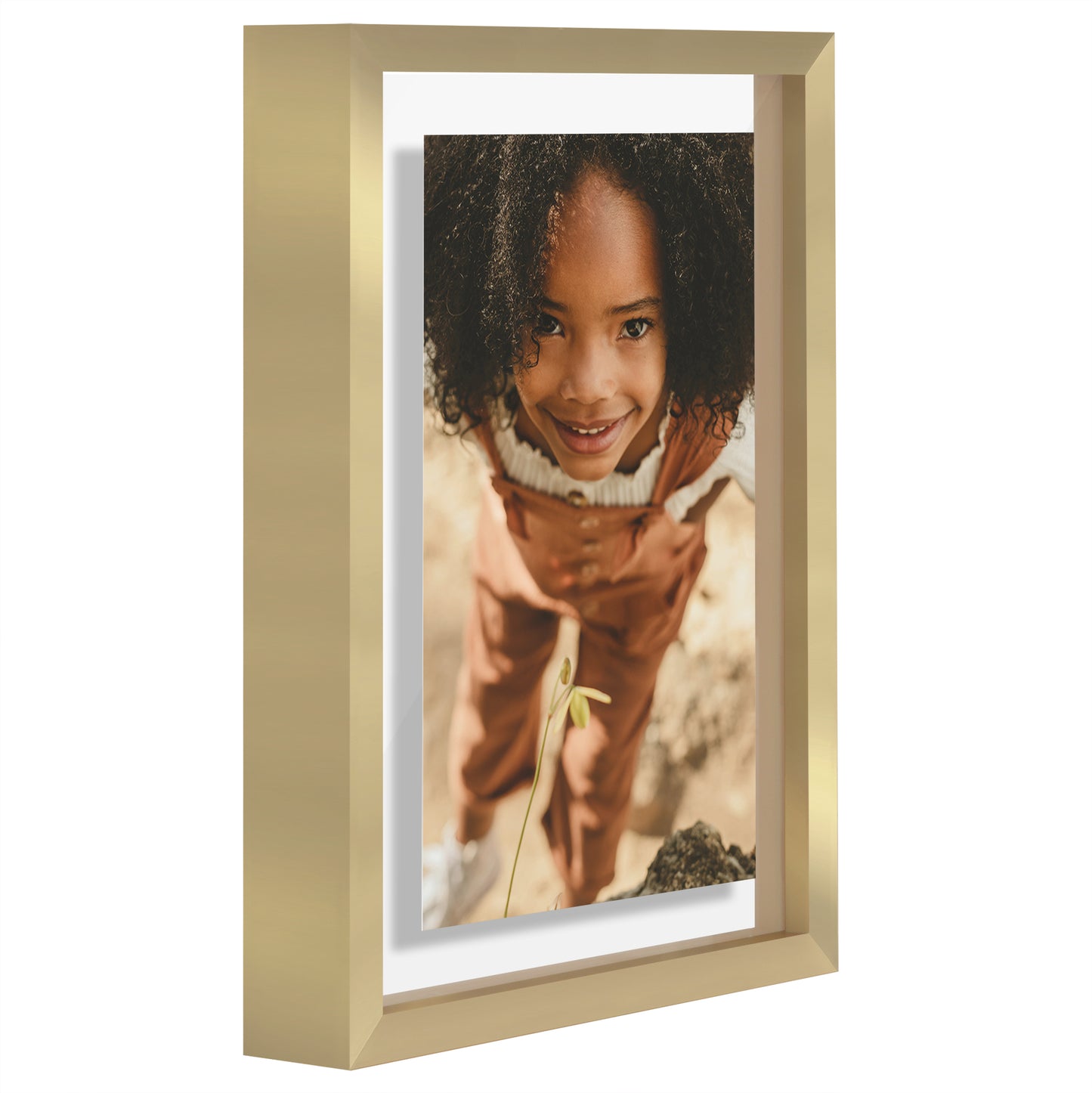 Aluminum Floating Frame | Metal Molding | Shatter-Resistant | Modern - Premium Quality