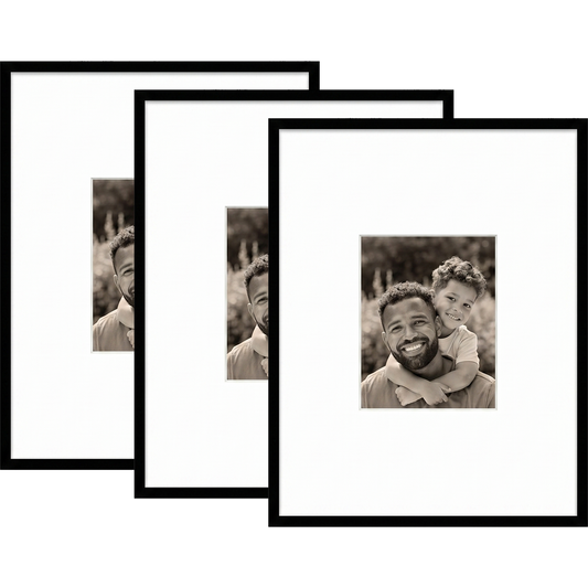 Streamline 18x24 Picture Frame Black