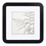Black 12x12 Mod frame, white mat opening to 8x8, a pressed fern frond 