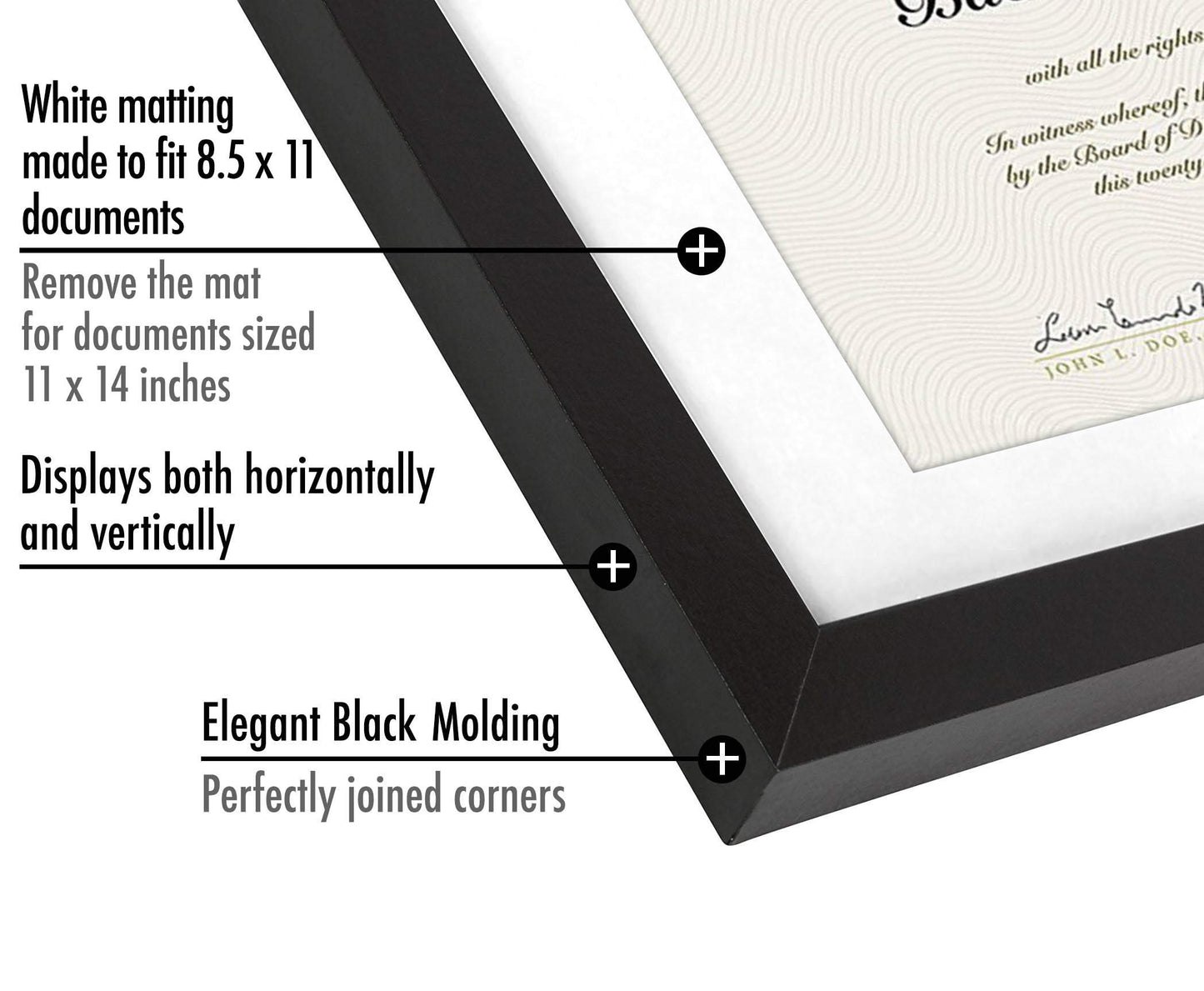 Legacy Matted Document Frame