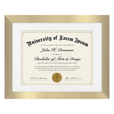 Legacy Unmatted Document Frame — 8x11 / Gold / 1 Pack