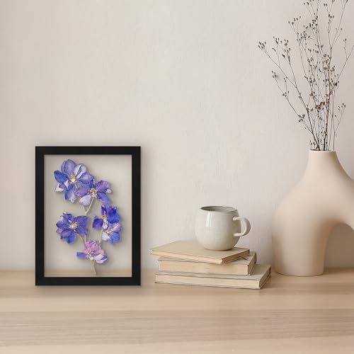 Floating Picture Frame | Set of 2 | Clear Glass | Modern Design | Wall/Tabletop Display - Americanflat