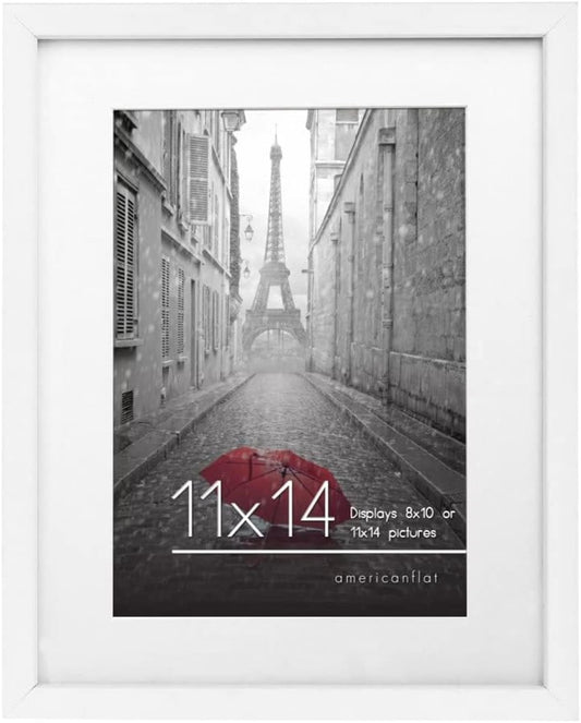 Picture Frame | Signature Collection | Classic Molding | Includes Mat | Multi Pack