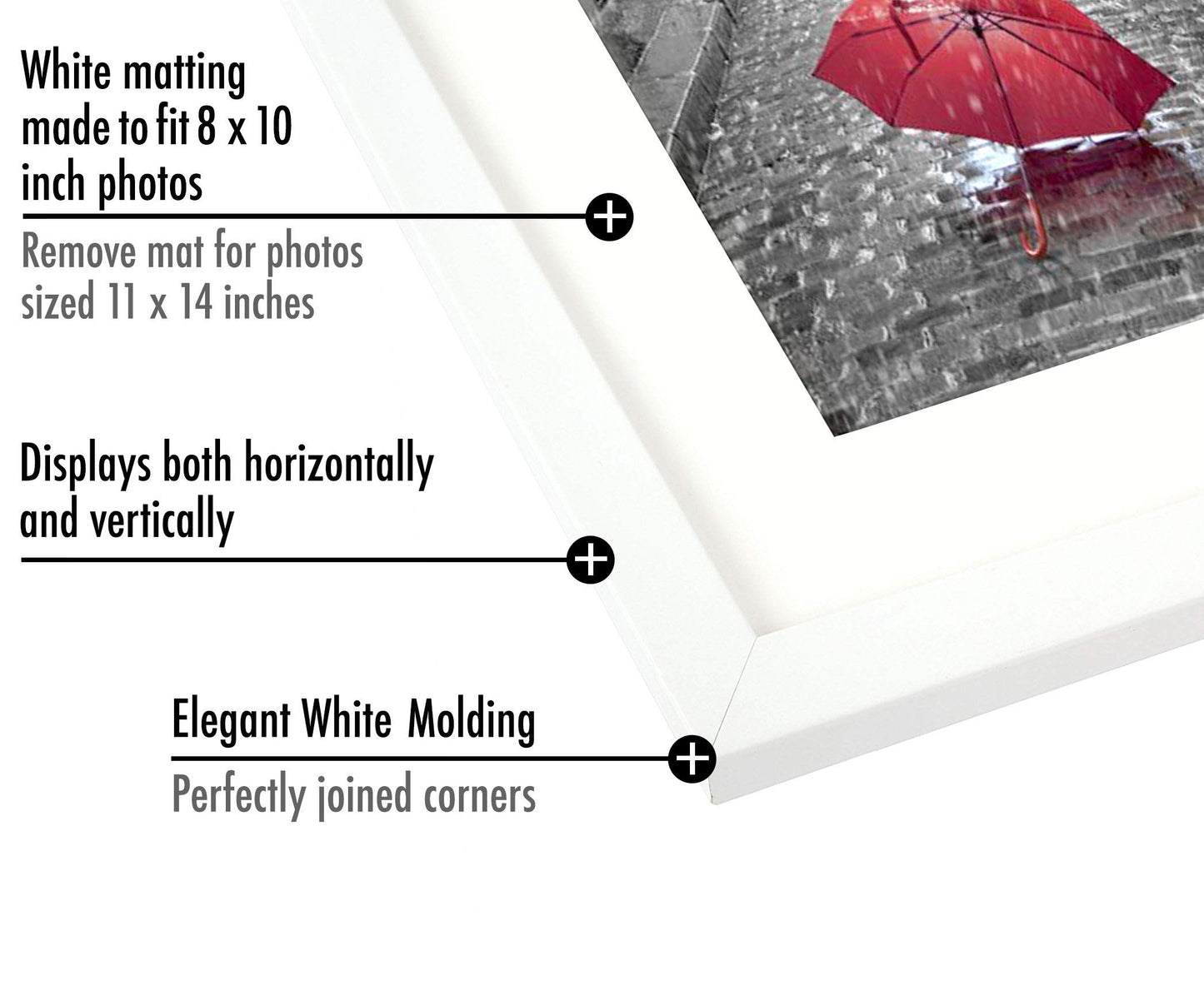 Picture Frame | Signature Collection | Classic Molding | Includes Mat | Multi Pack