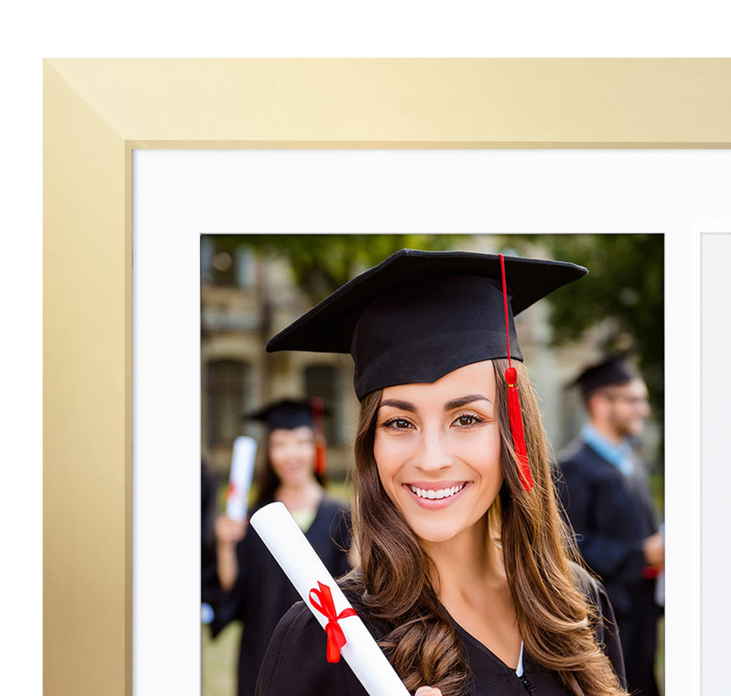 Legacy Unmatted Document Frame
