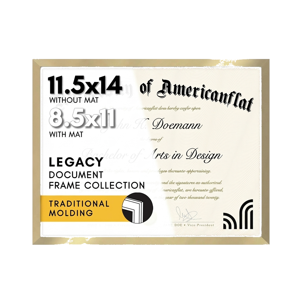 Streamline Matted Picture Frame