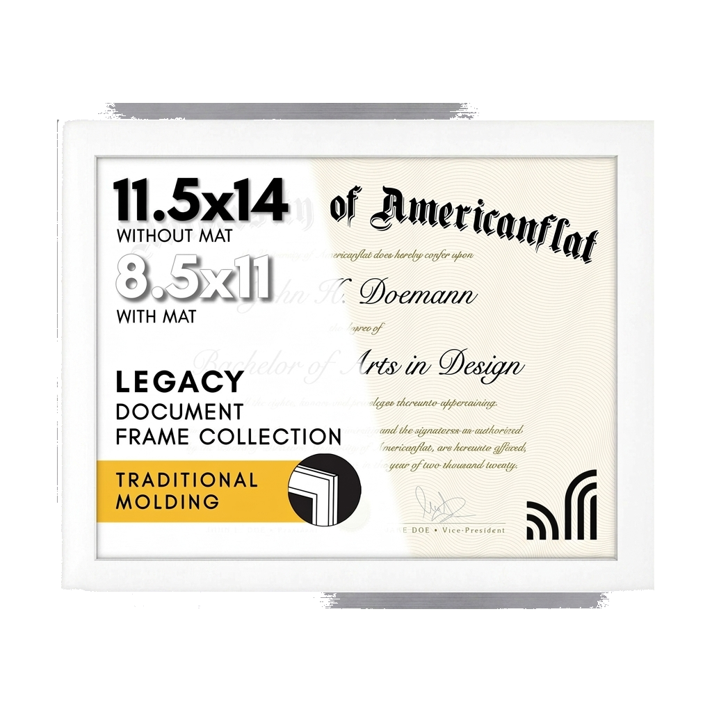 Streamline Matted Picture Frame