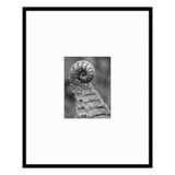 Streamline Matted Picture Frame 24x30 with 9x12 mat — included ×3