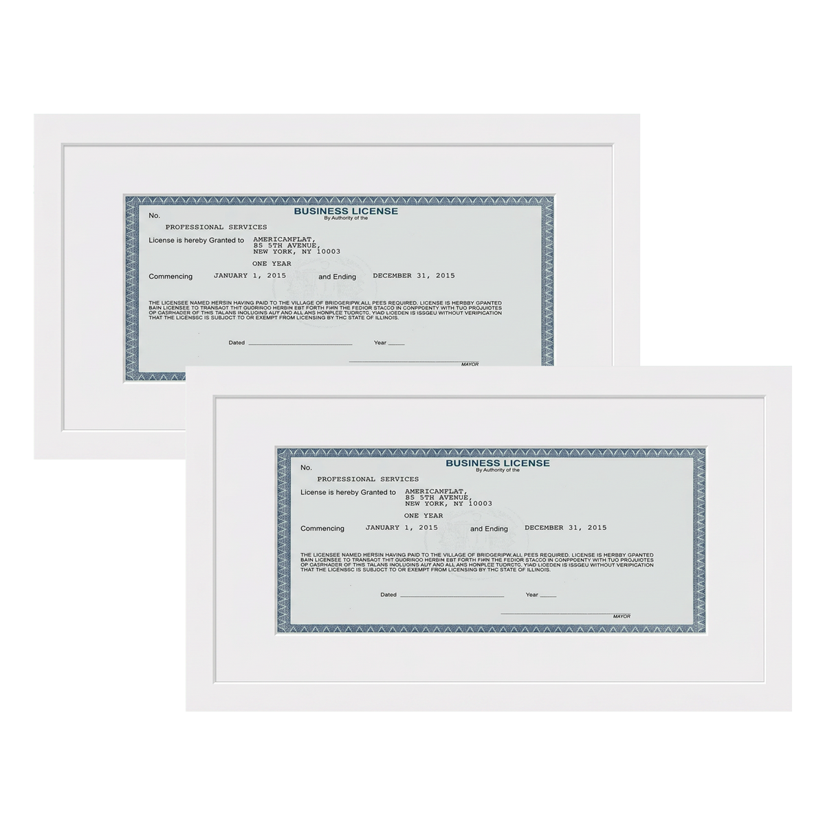 Business License Frame | Professional Display